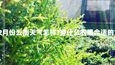 2月份云南天氣怎樣?穿什么衣服合適的?