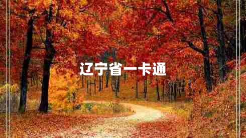 遼寧省一卡通