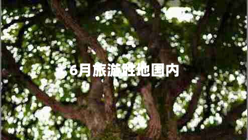 6月旅游勝地國內