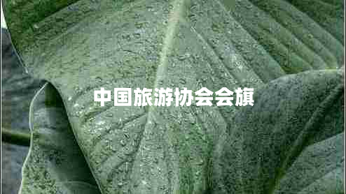 中國旅游協(xié)會(huì )會(huì )旗