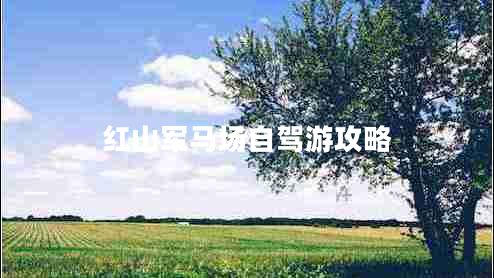 紅山軍馬場(chǎng)自駕游攻略