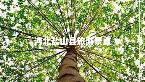 河北鹽山縣旅游景點(diǎn)