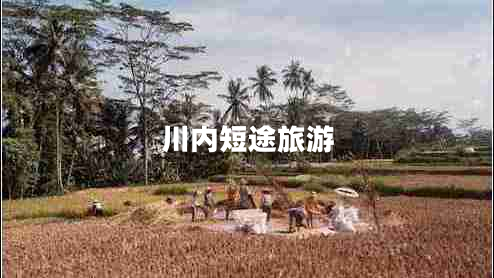 川內短途旅游