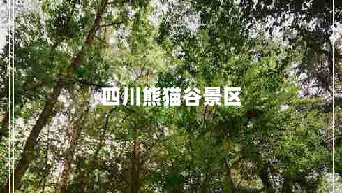 四川熊貓谷景區