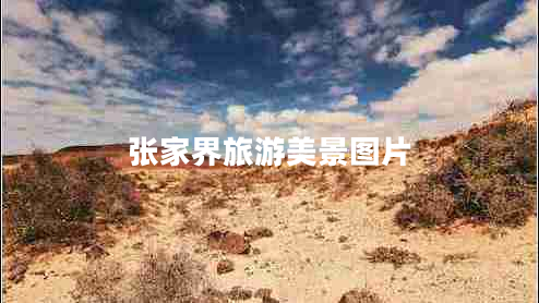 張家界旅游美景圖片