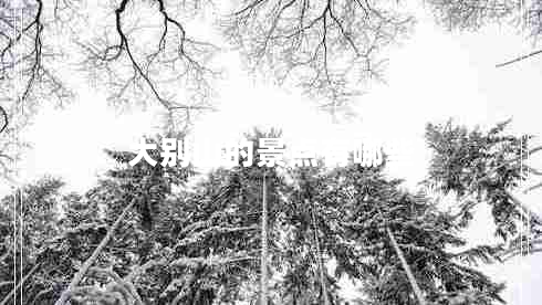 大別山的景點(diǎn)有哪些