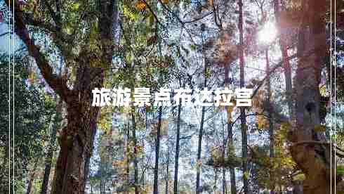 旅游景點(diǎn)布達拉宮