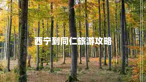 西寧到同仁旅游攻略