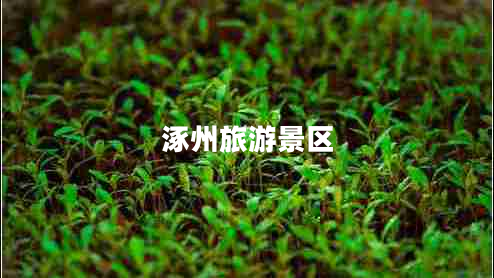 涿州旅游景區