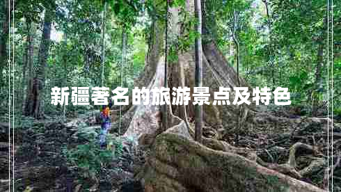 新疆著(zhù)名的旅游景點(diǎn)及特色