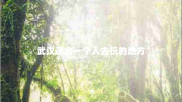 武漢適合一個(gè)人去玩的地方