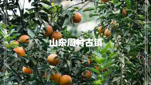 山東周村古鎮