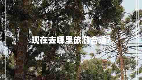 現在去哪里旅游合適?