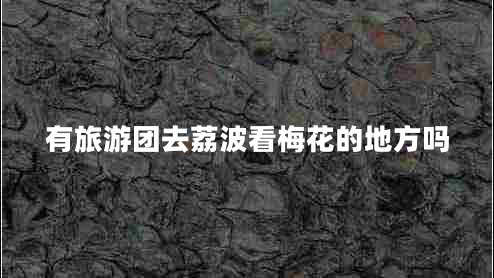 有旅游團去荔波看梅花的地方嗎