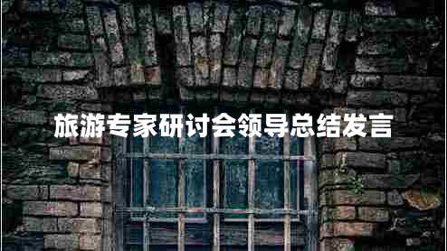 旅游專(zhuān)家研討會(huì )領(lǐng)導總結發(fā)言