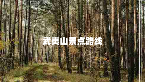 武夷山景點(diǎn)路線(xiàn)