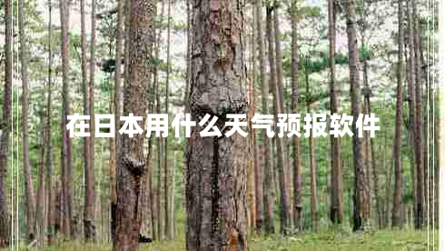 在日本用什么天氣預報軟件