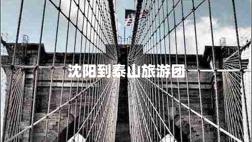 沈陽(yáng)到泰山旅游團