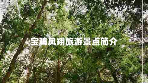 寶雞鳳翔旅游景點(diǎn)簡(jiǎn)介