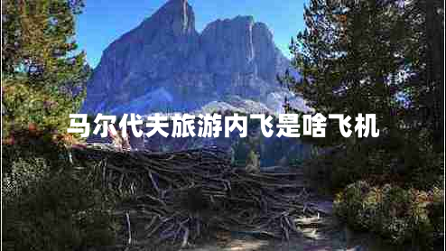 馬爾代夫旅游內飛是啥飛機