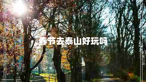 春節去泰山好玩嗎