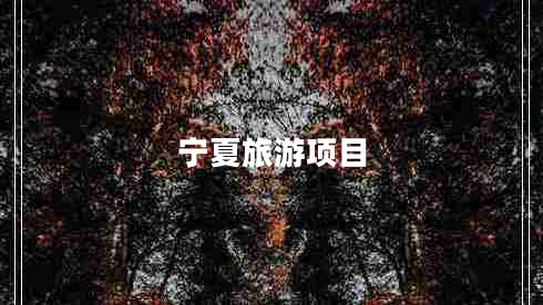 寧夏旅游項目