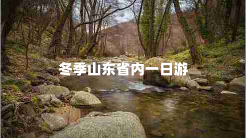 冬季山東省內一日游