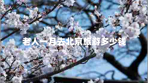 老人一月去北京旅游多少錢(qián)