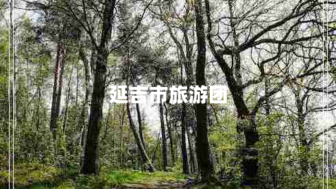 延吉市旅游團