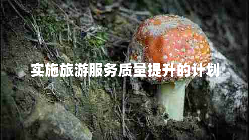 實(shí)施旅游服務(wù)質(zhì)量提升的計劃