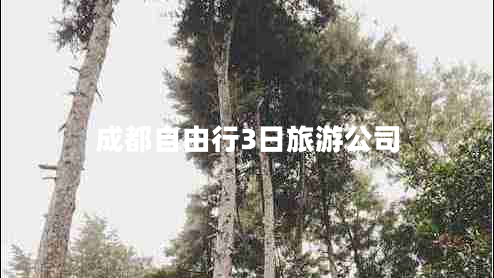 成都自由行3日旅游公司
