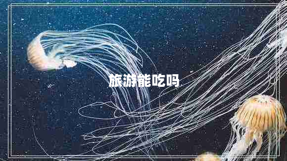 旅游能吃嗎
