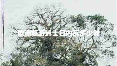 歐洲旅游瑞士日內瓦多少錢(qián)