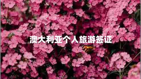 澳大利亞個(gè)人旅游簽證