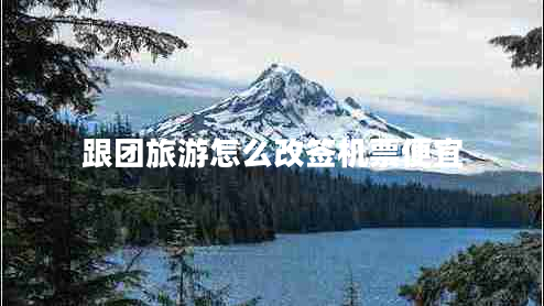 跟團旅游怎么改簽機票便宜