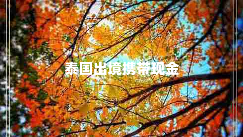 泰國出境攜帶現金