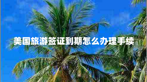 美國旅游簽證到期怎么辦理手續