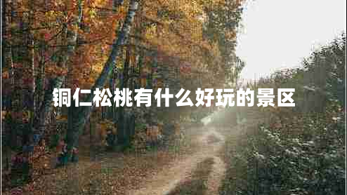 銅仁松桃有什么好玩的景區