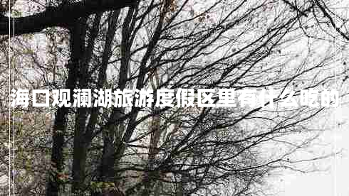 海口觀(guān)瀾湖旅游度假區里有什么吃的
