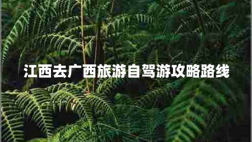江西去廣西旅游自駕游攻略路線(xiàn)