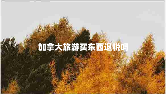 加拿大旅游買(mǎi)東西退稅嗎