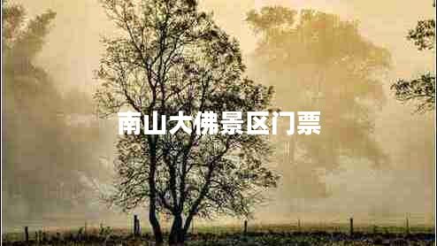 南山大佛景區門(mén)票