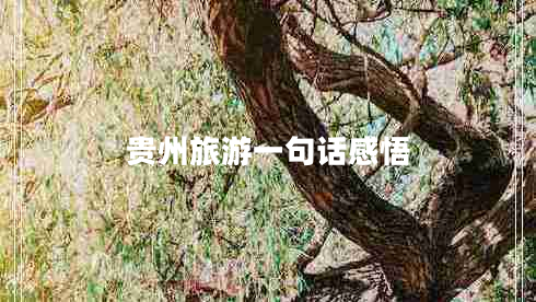 貴州旅游一句話(huà)感悟