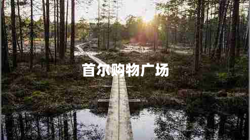 首爾購物廣場(chǎng)