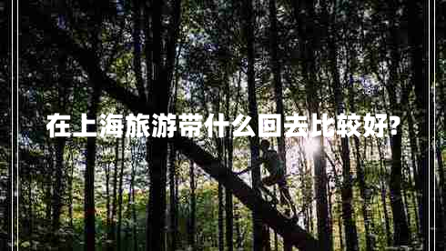 在上海旅游帶什么回去比較好?