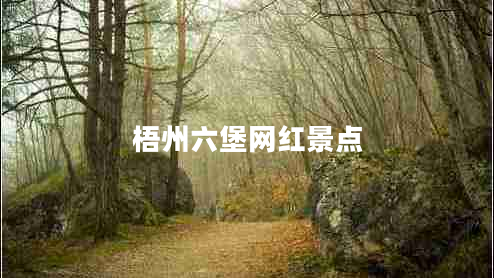 梧州六堡網紅景點