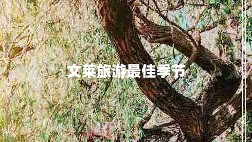文萊旅游最佳季節