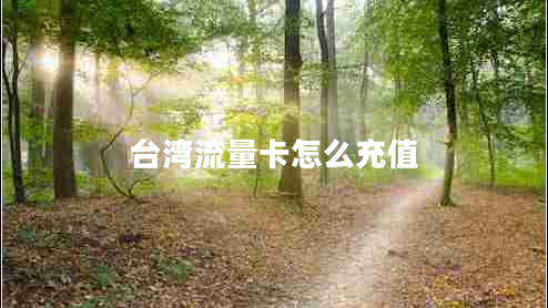 臺灣流量卡怎么充值