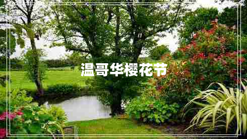 溫哥華櫻花節