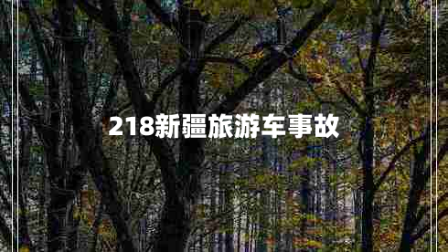 218新疆旅游車(chē)事故